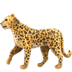 :leopard: :leopard: